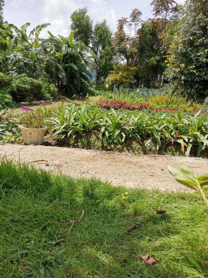 The Galways Edge Homestay Nuwara Eliya Eksteriør billede
